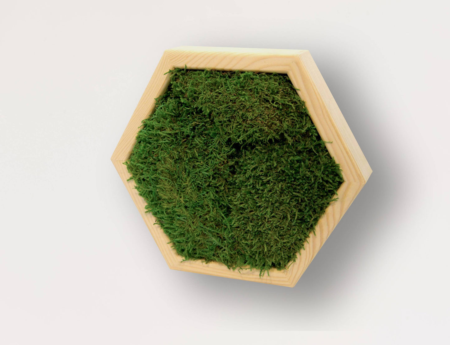 HexaMoss: Living Wall Art