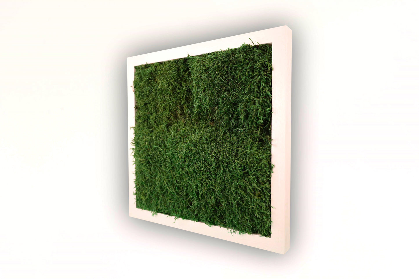 Zen Grove Moss Wall Frame