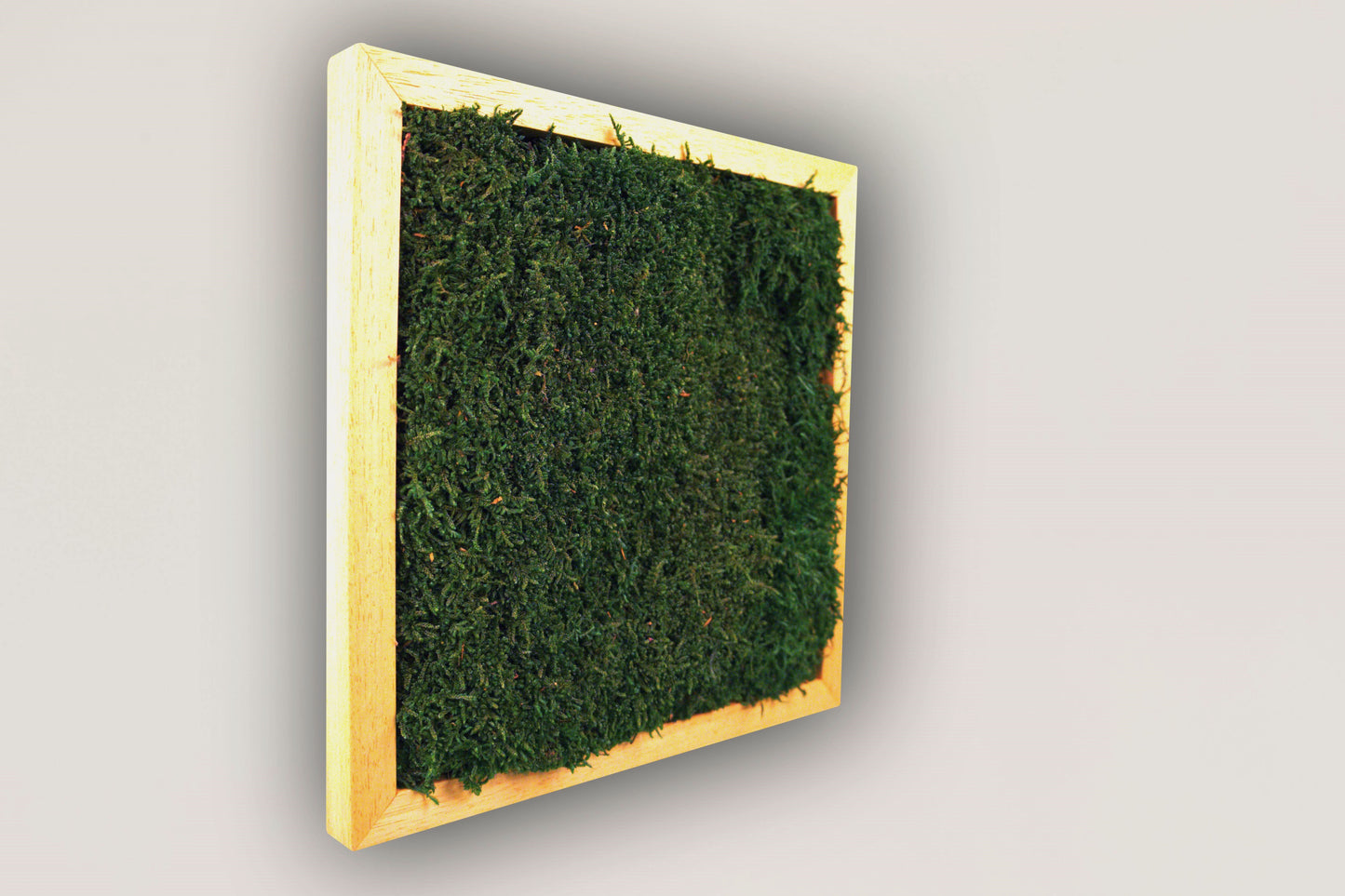 Zen Grove Moss Wall Frame