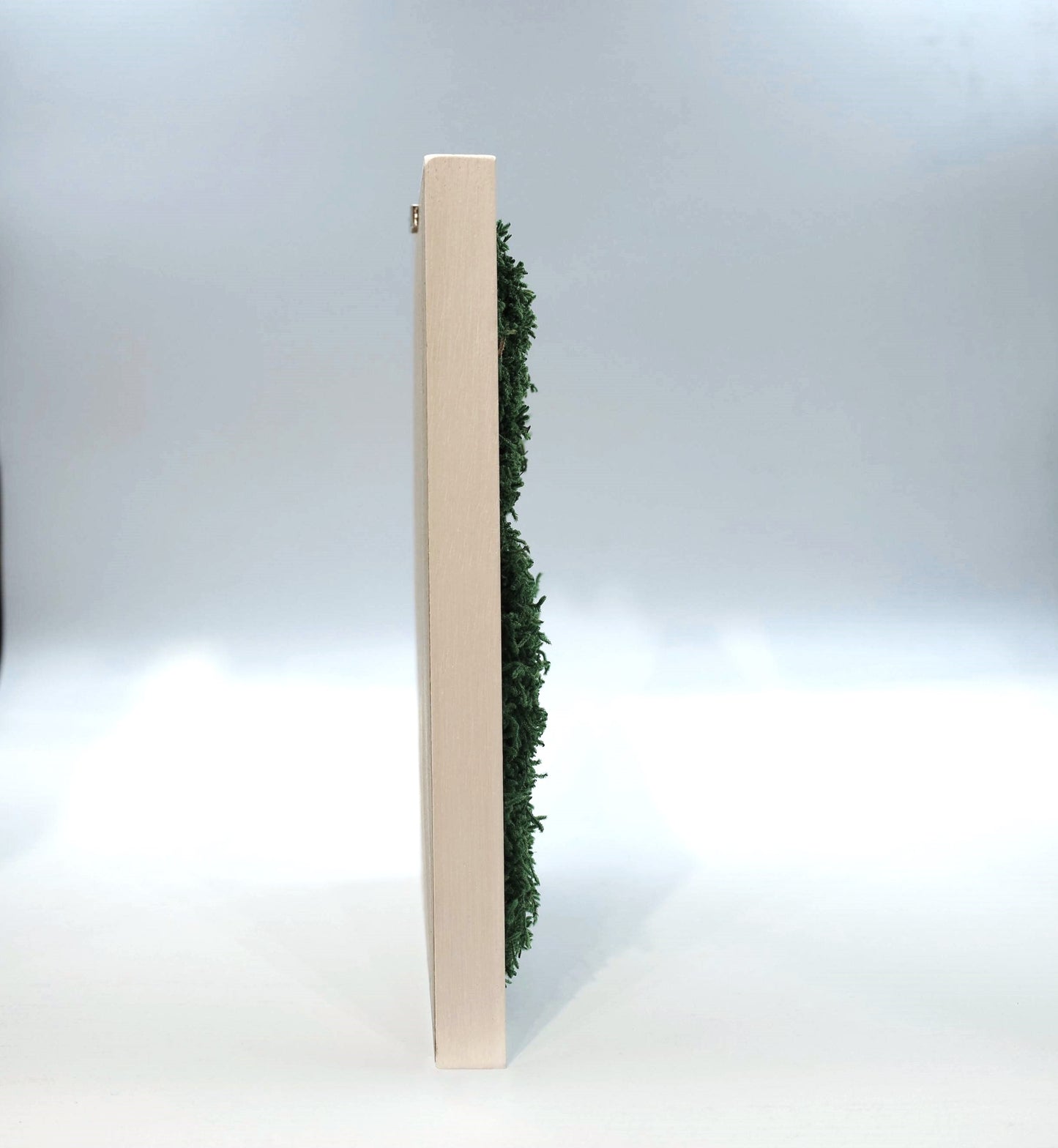 Zen Grove Moss Wall Frame