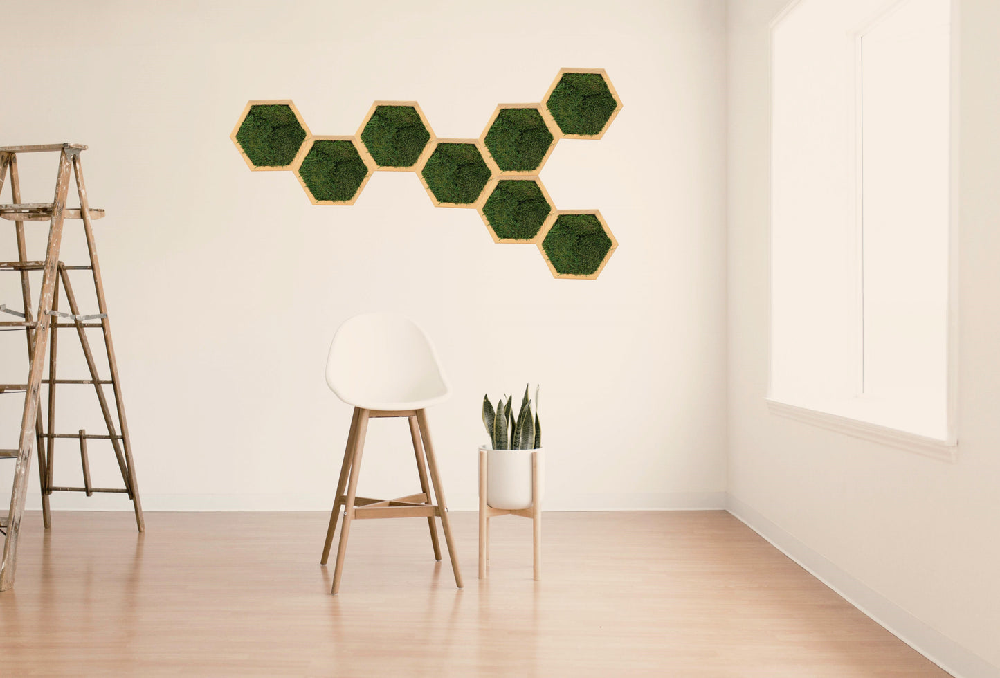 HexaMoss: Living Wall Art