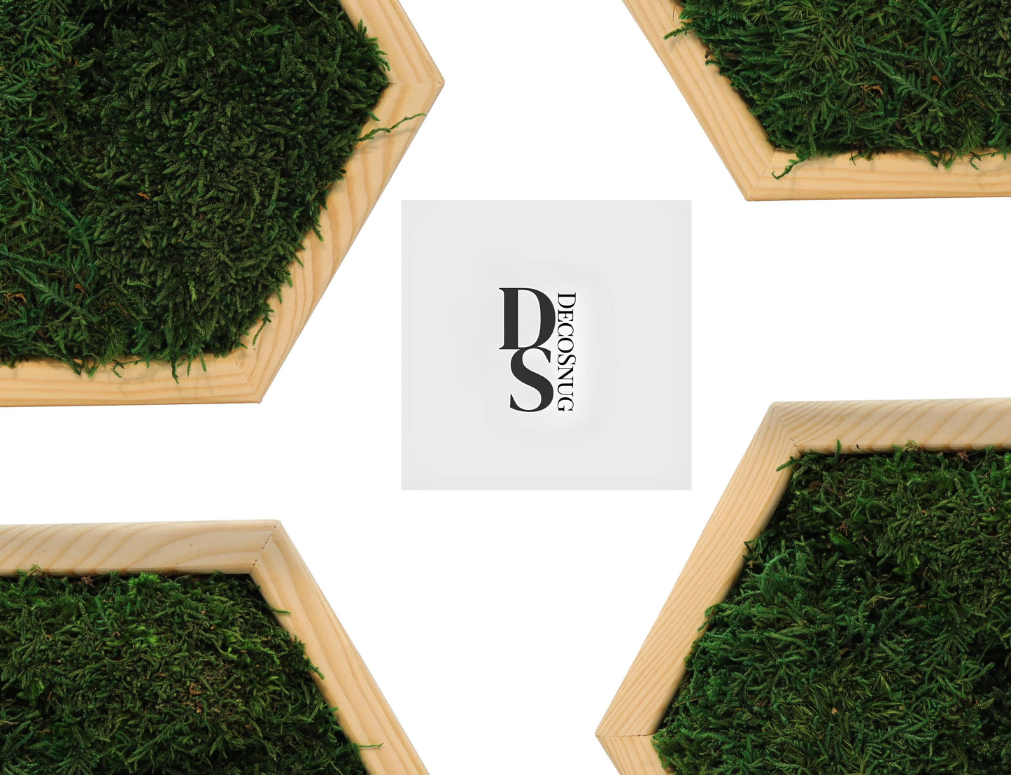 HexaMoss: Living Wall Art